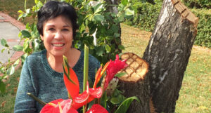 cCARE Patient Carole